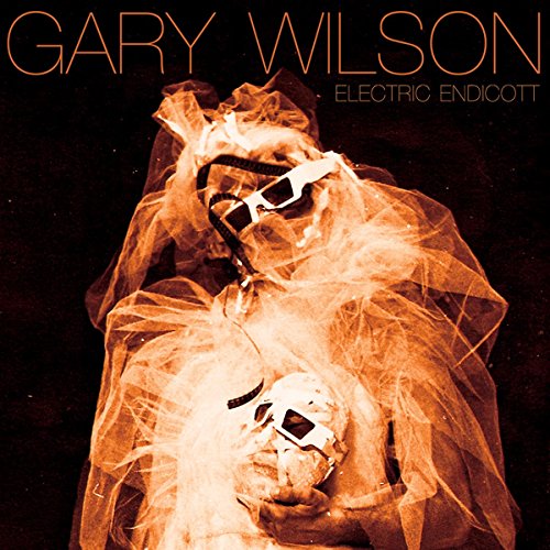 WILSON,GARY - ELECTRIC ENDICOTT (CD)