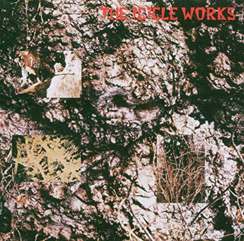 ICICLE WORKS - ICICLE WORKS (2CD) (CD)