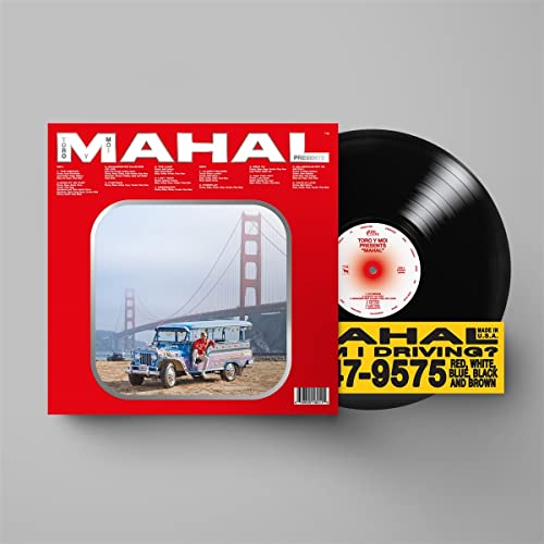 TORO Y MOI - MAHAL (VINYL)