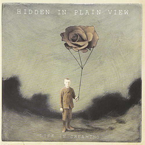 HIDDEN IN PLAIN VIEW - LIFE IN DREAMING (CD)