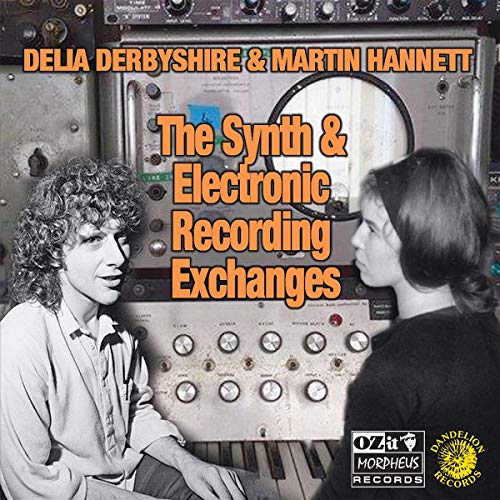 DERBYSHIRE,DELIA & MARTIN HANNETT - SYNTH & ELECTRONIC RECORDING EXCHANGES (180G) (VINYL)