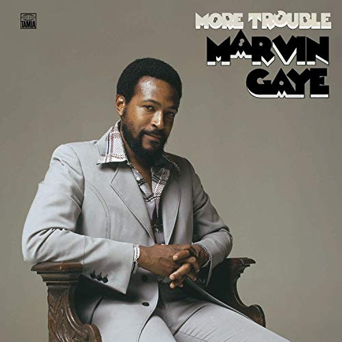 GAYE, MARVIN - MORE TROUBLE (VINYL)