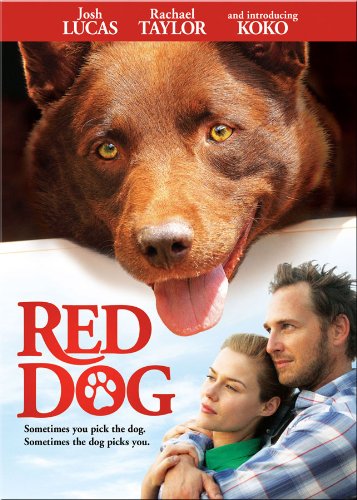 RED DOG [IMPORT]