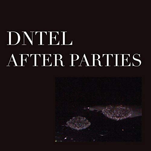 DNTEL - AFTER PARTIES II (VINYL)