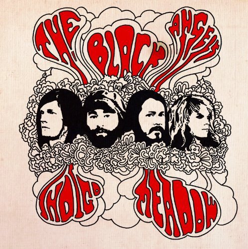 BLACK ANGELS - INDIGO MEADOW (VINYL)