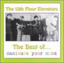 13TH FLOOR ELEVATORS - BEST OF: MANICURE YOUR MIND (CD)