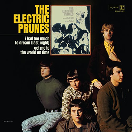 THE ELECTRIC PRUNES - THE ELECTRIC PRUNES (VINYL)