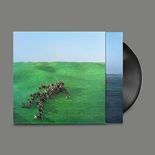 SQUID - BRIGHT GREEN FIELD (2LP)