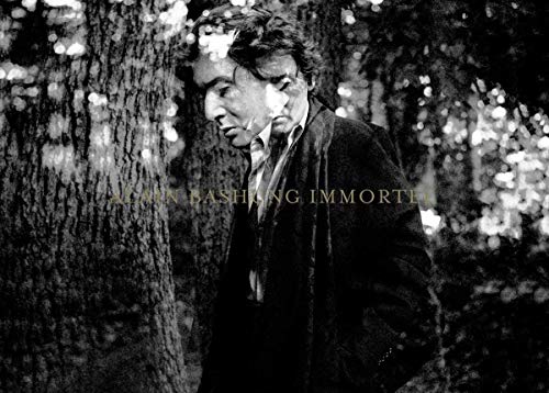 BASHUNG, ALAIN - IMMORTEL (LINTGRALE) (24CD) (CD)