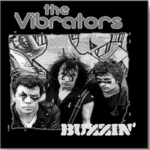 VIBRATORS - BUZZIN (CD)