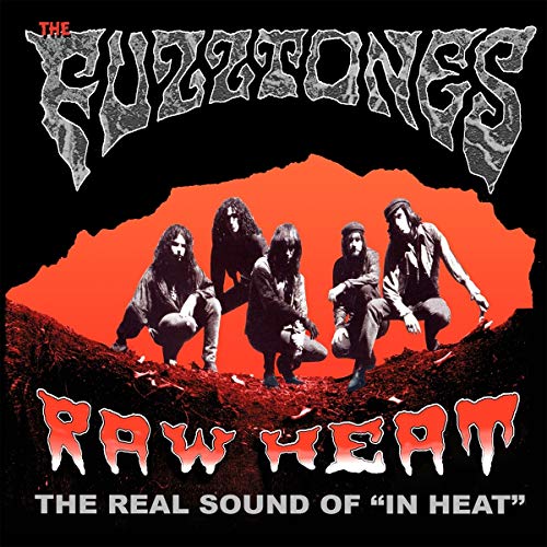 FUZZTONES - RAW HEAT: THE REAL SOUND OF IN HEAT (VINYL)