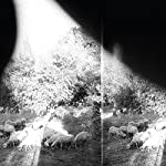 GODSPEED YOU BLACK EMPEROR - ASUNDER SWEET & OTHER DISTRESS (VINYL)