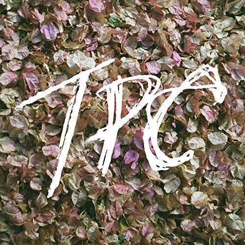 TOKYO POLICE CLUB - TPC (VINYL)