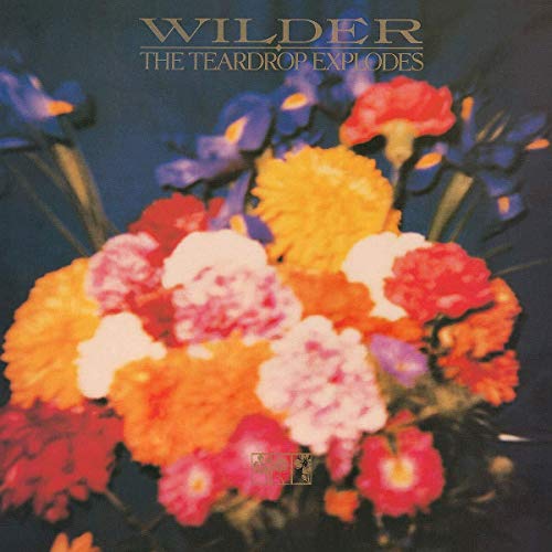 TEARDROP EXPLODES - WILDER (VINYL)