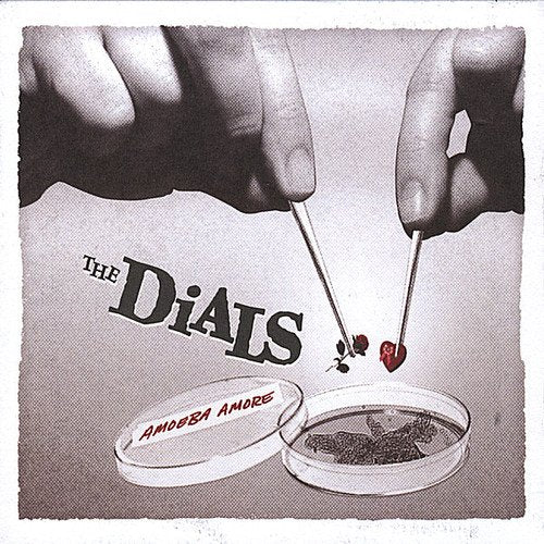 DIALS - AMOEBA AMORE (CD)