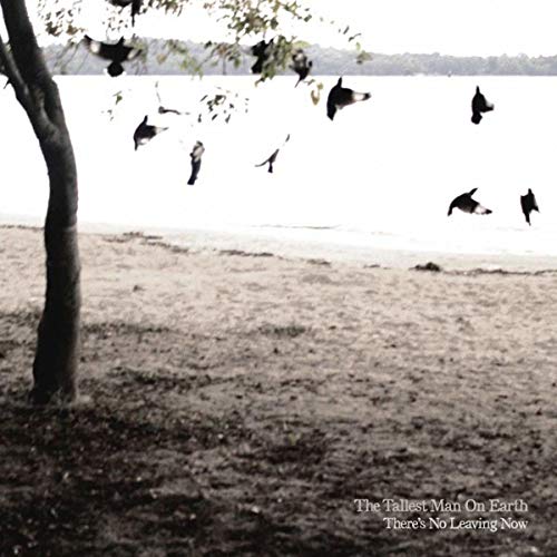 THE TALLEST MAN ON EARTH - THERE'S NO LEAVING NOW (CD)