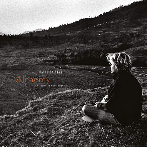 SYLVIAN, DAVID - ALCHEMY: AN INDEX OF POSSIBILITIES (VINYL)
