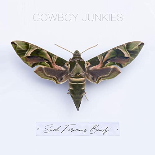 COWBOY JUNKIES - SUCH FEROCIOUS BEAUTY (VINYL)