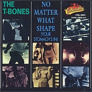 T-BONES - NO MATTER WHAT SHAPE (CD)