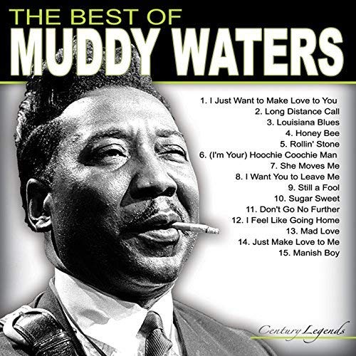 MUDDY WATERS - BEST OF MUDDY WATERS (VINYL)